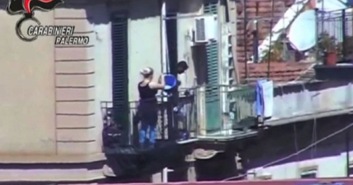 Video News 14/09/2015