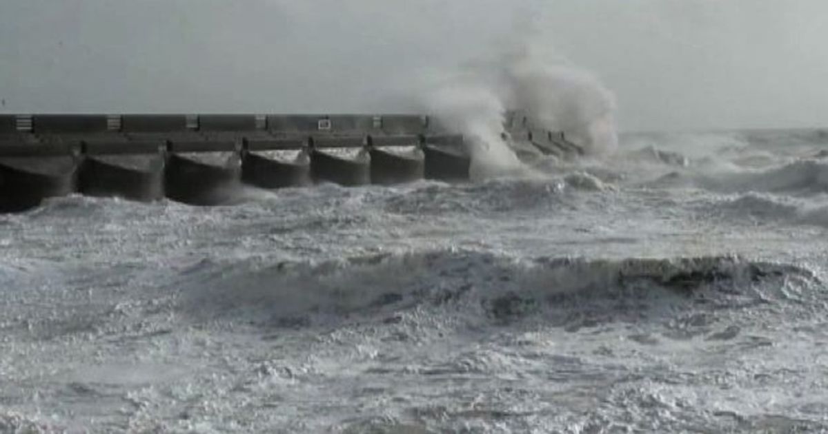 Video News 14/09/2015