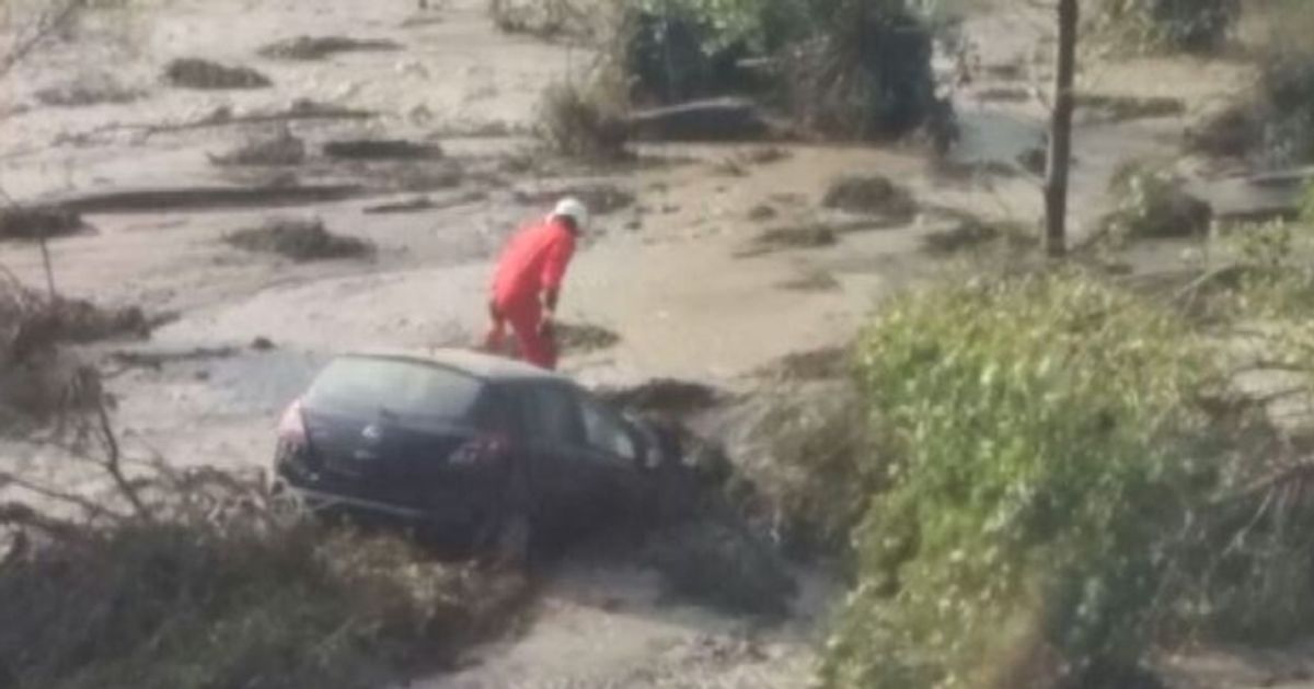 Video News 14/09/2015