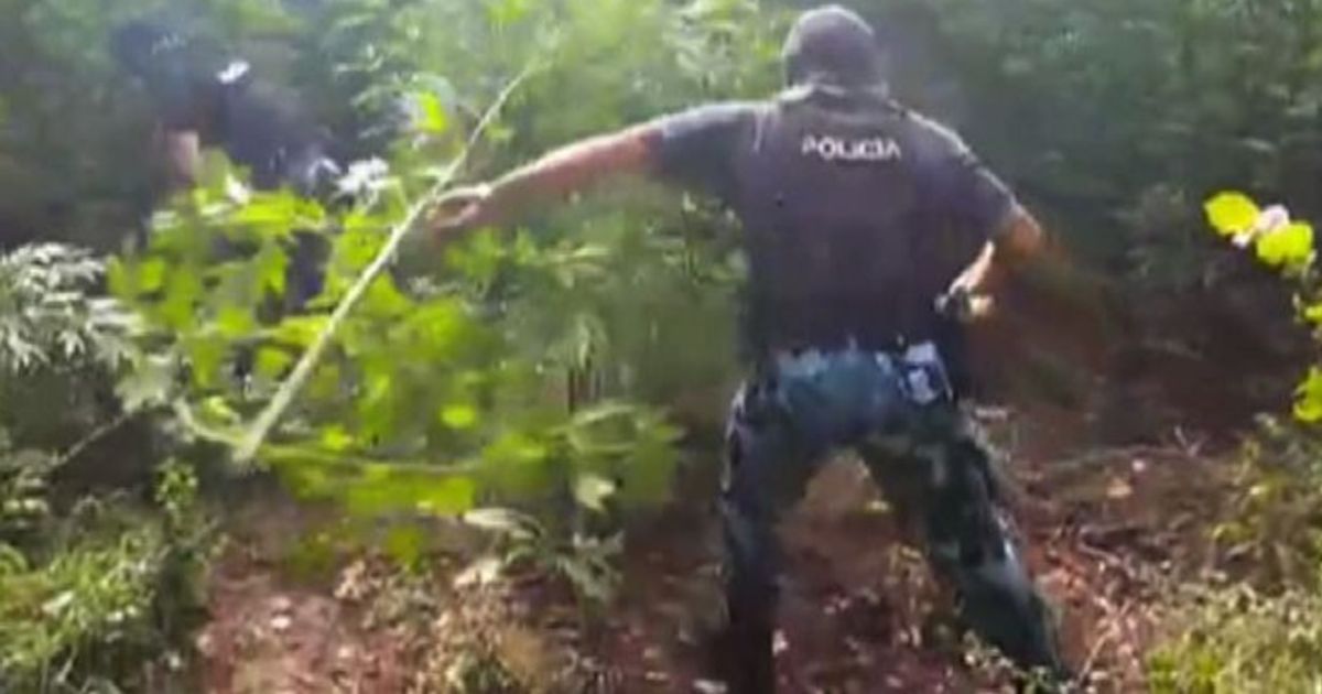 Video News 14/09/2015