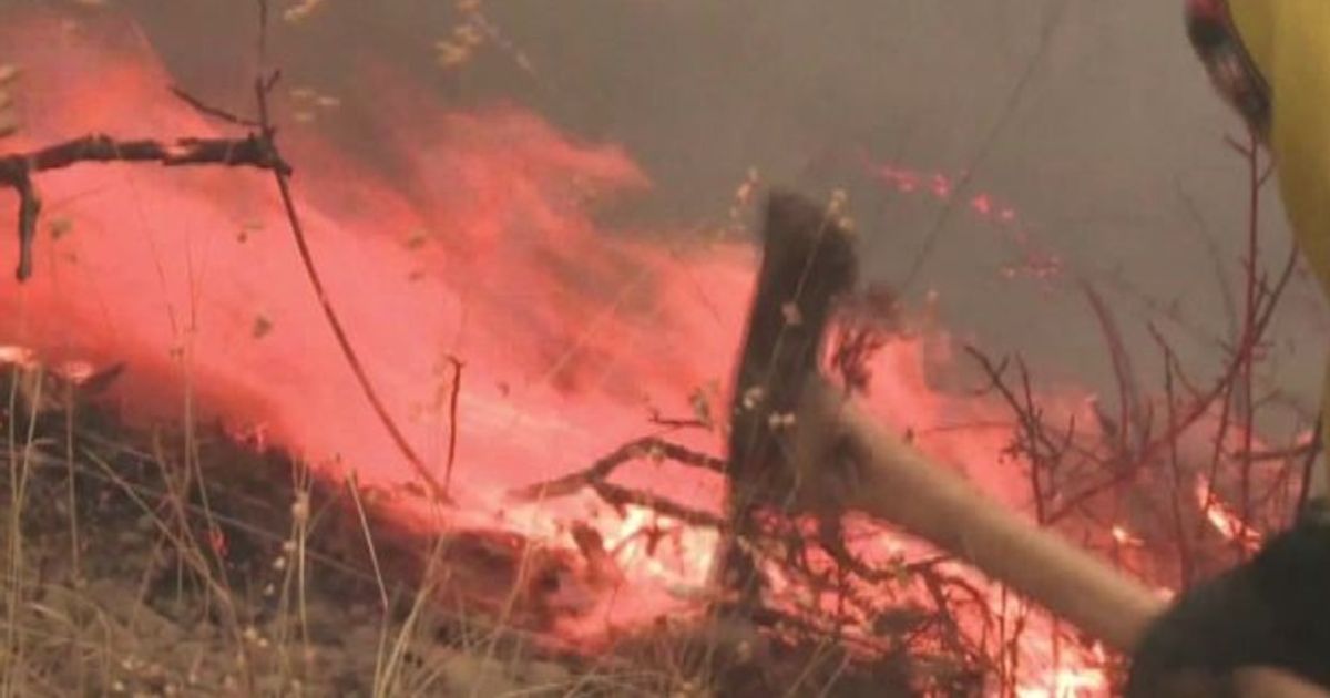 Video News 16/09/2015