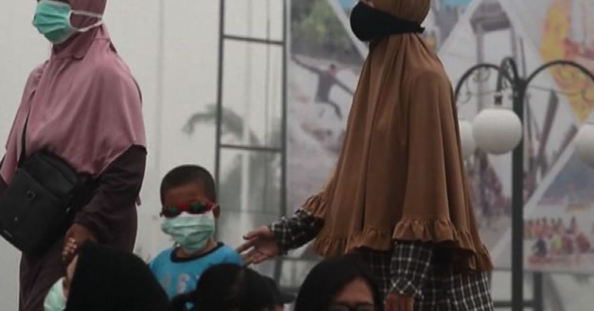 Video News 17/09/2015