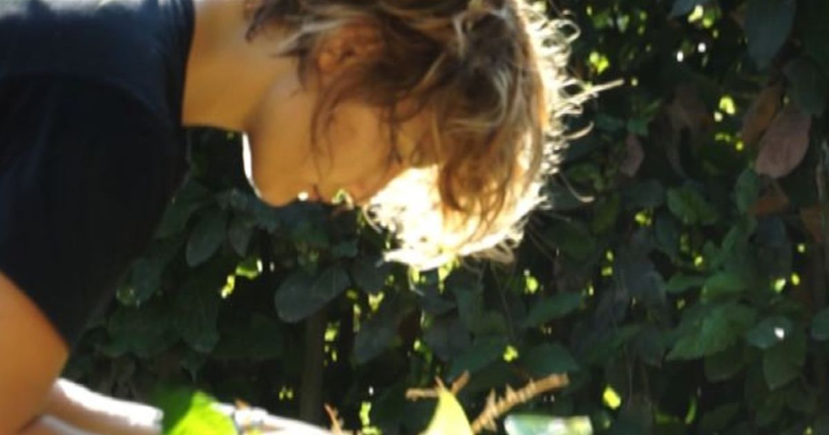 Video News 17/09/2015