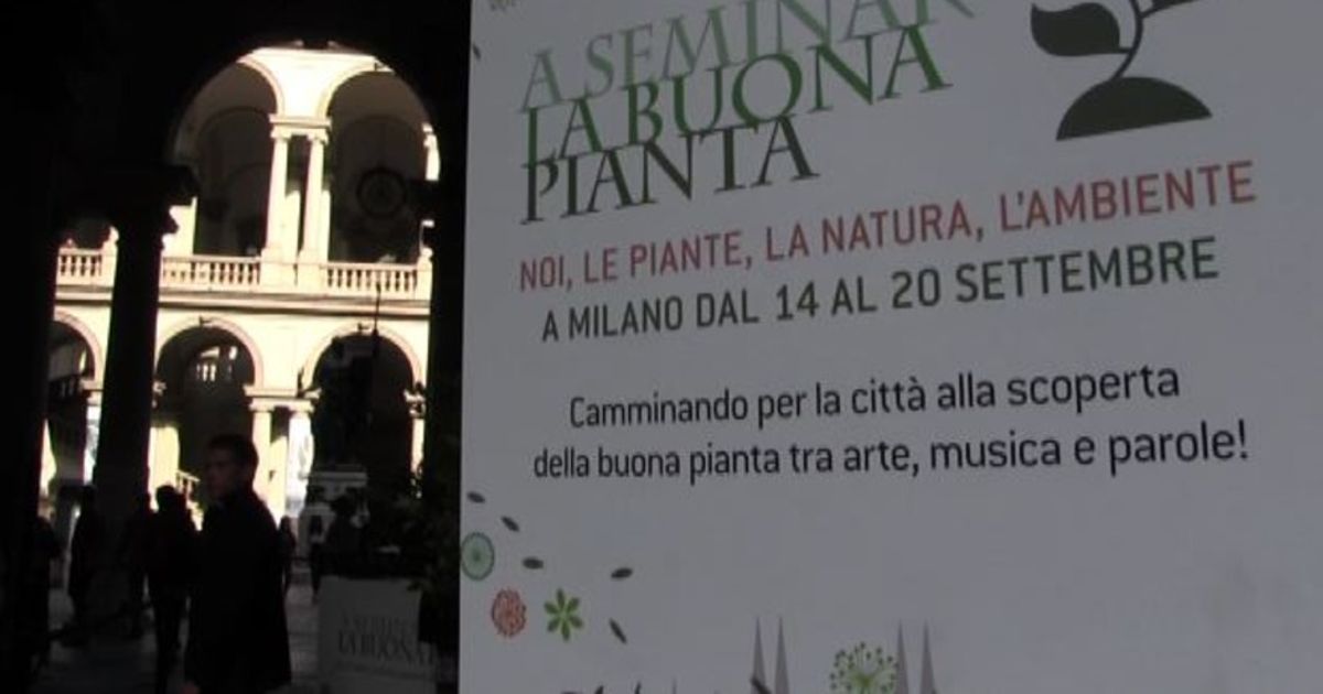 Video News 19/09/2015