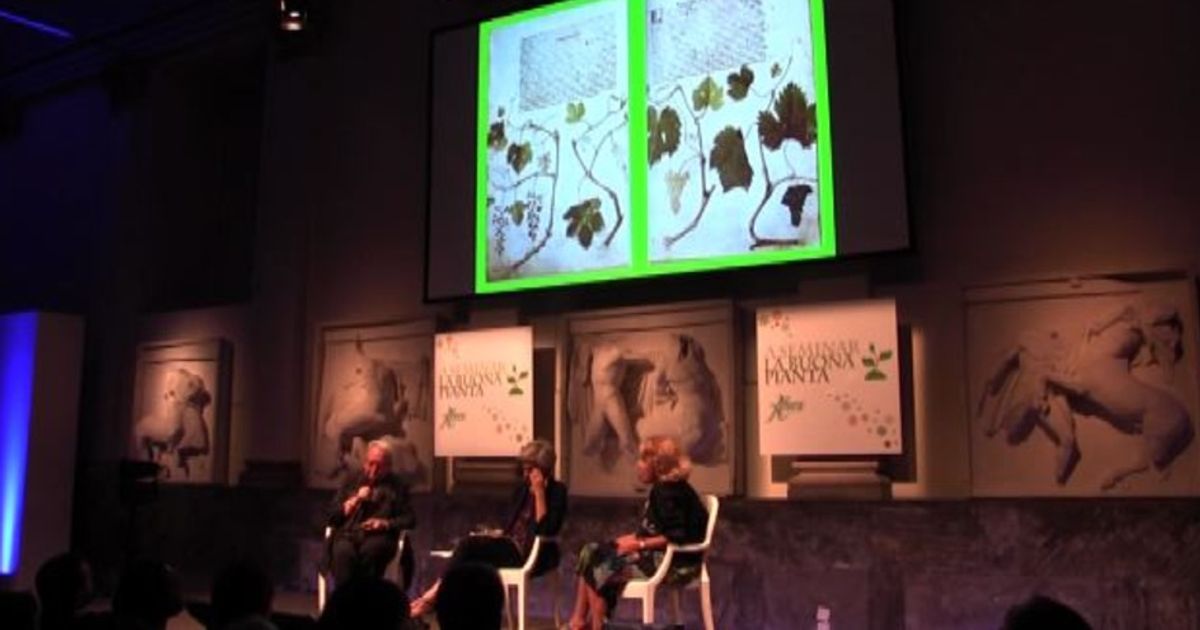 Video News 19/09/2015