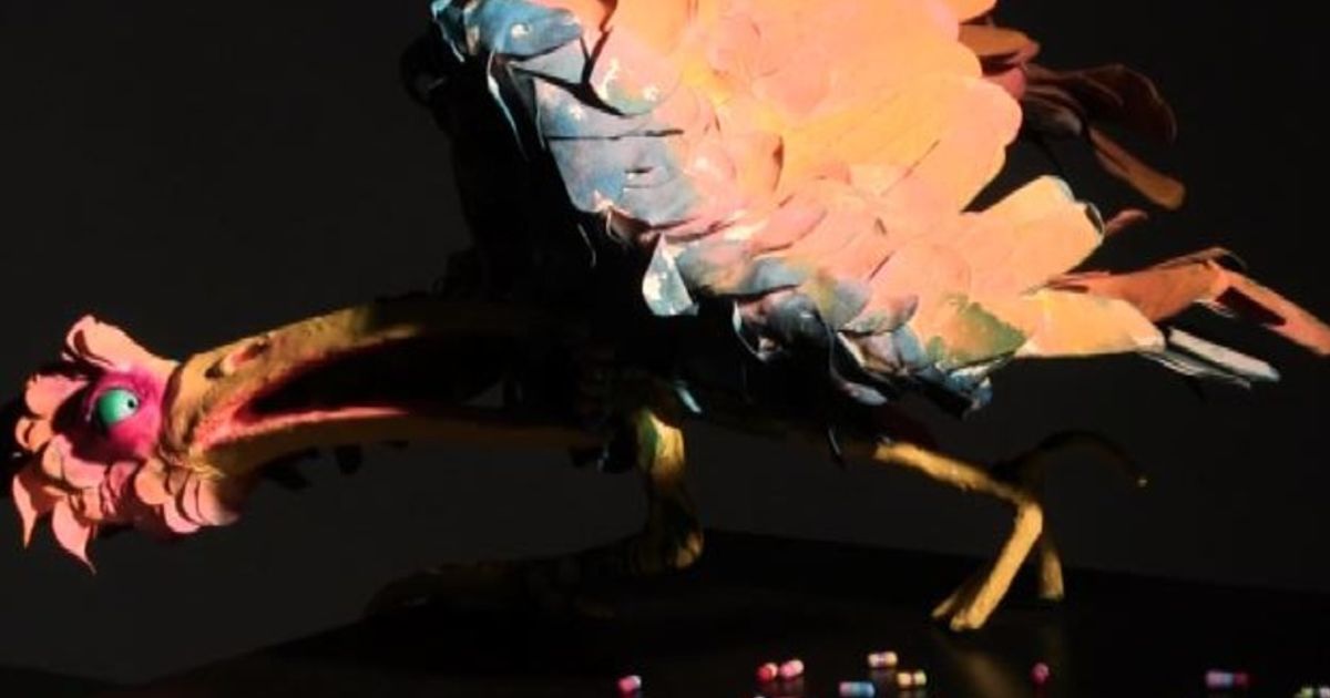 Video News 21/09/2015