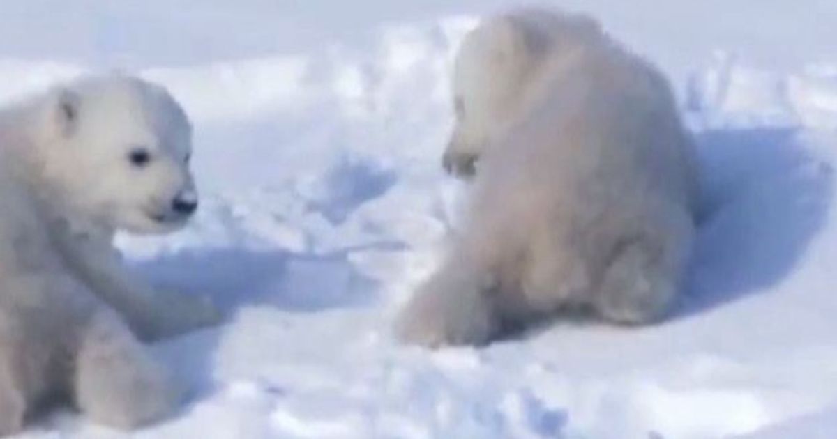 Video News 22/09/2015