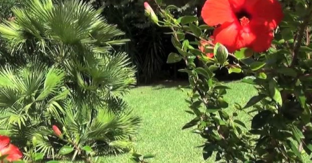 Video News 24/09/2015