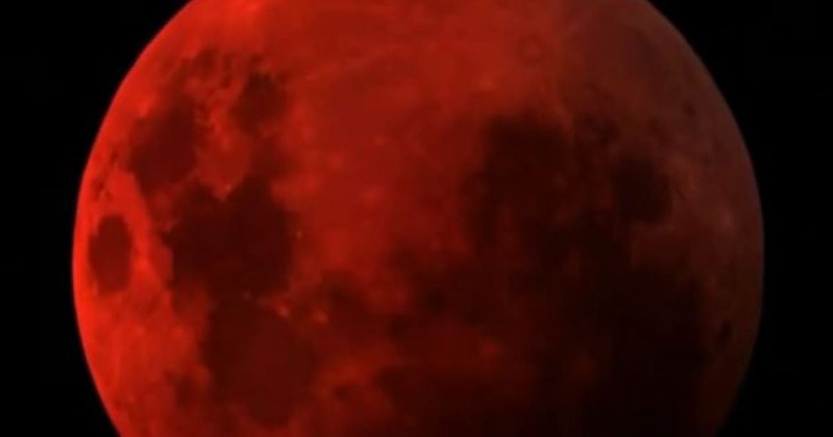 Video News 25/09/2015