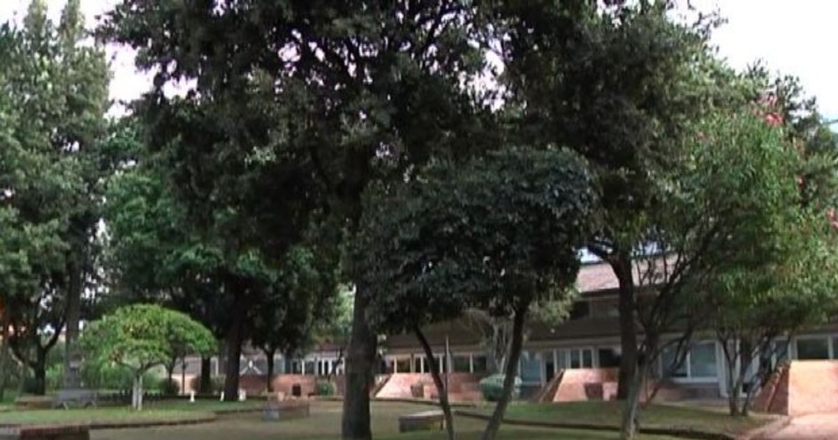 Video News 25/09/2015