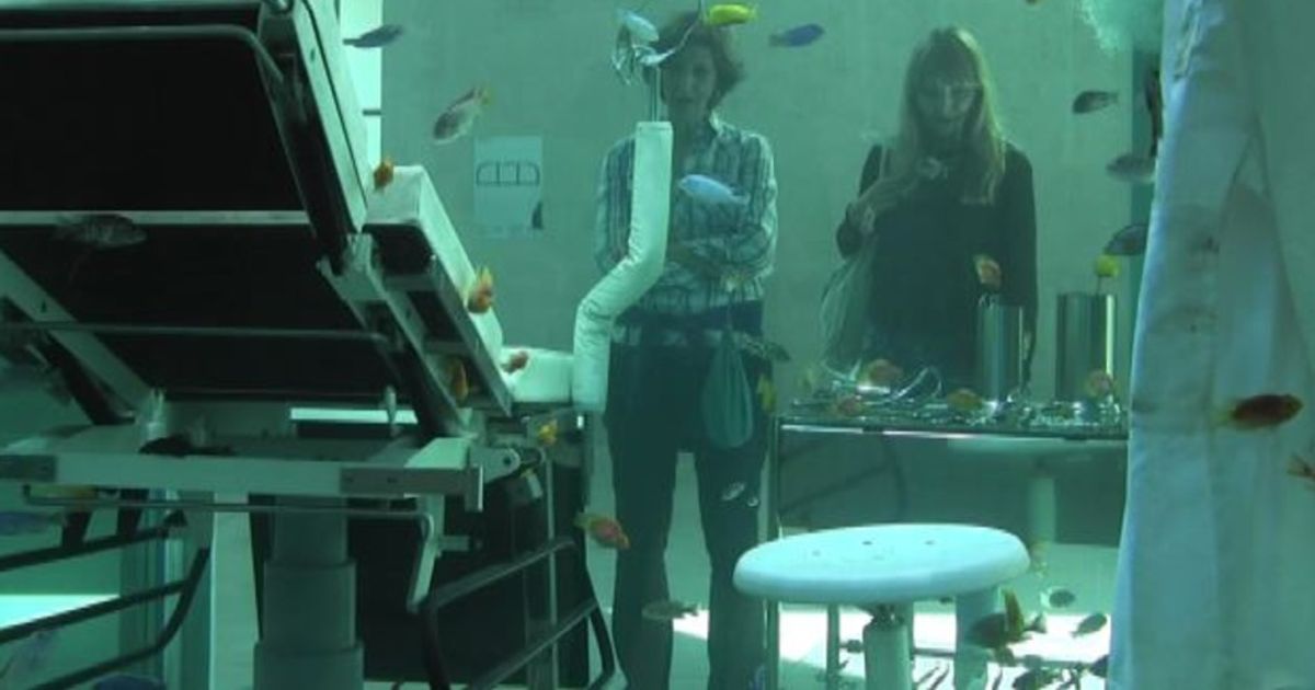 Video News 25/09/2015