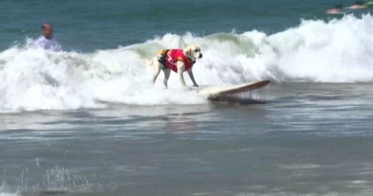 Video News 28/09/2015