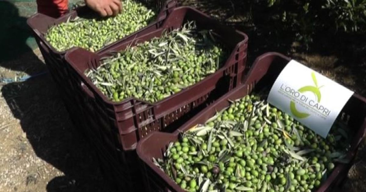 Video News 28/09/2015