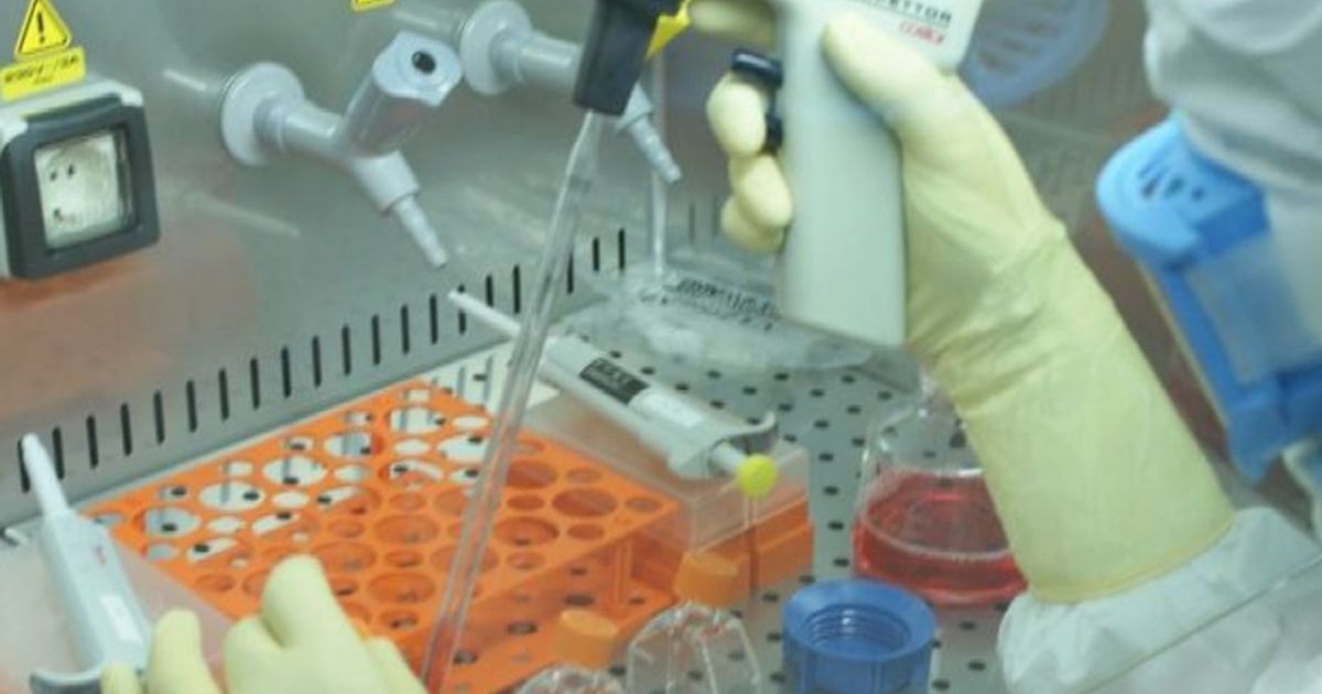 Video News 29/09/2015