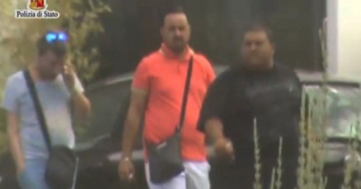 Video News 29/09/2015