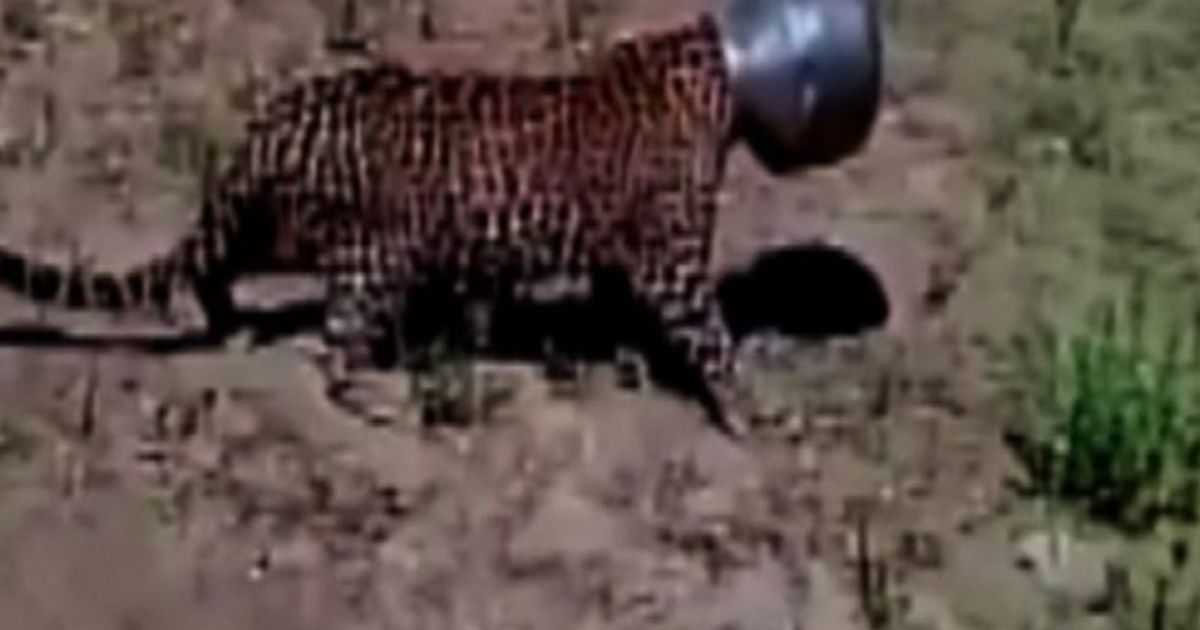 Video News 01/10/2015