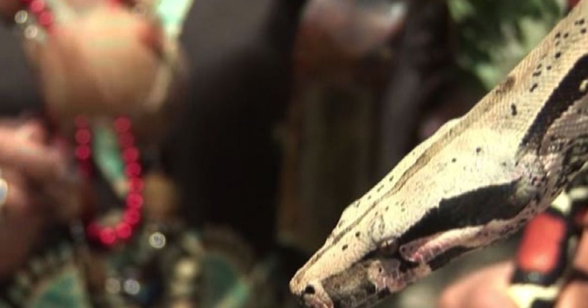 Video News 02/10/2015