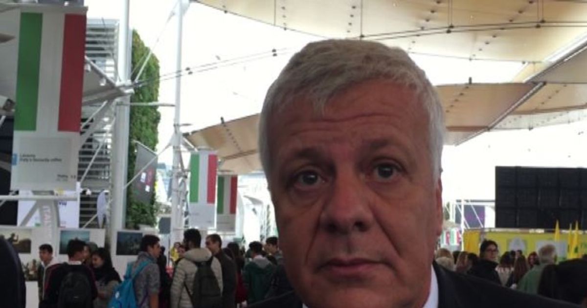 Video News 02/10/2015