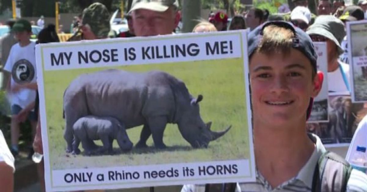 Video News 03/10/2015