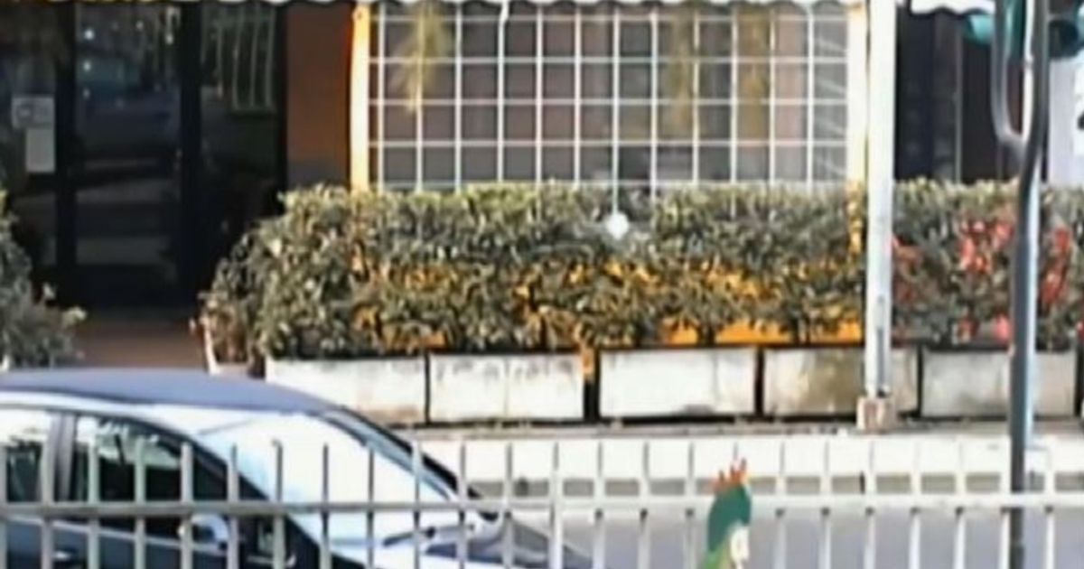 Video News 13/10/2015