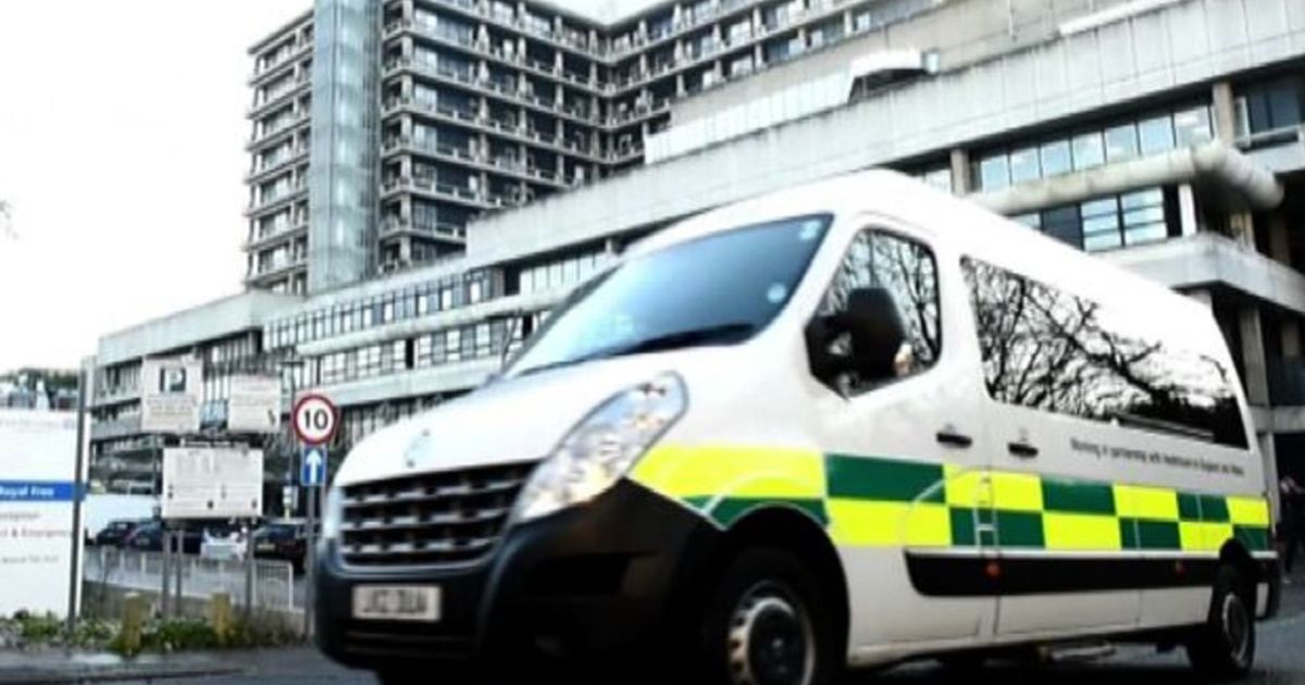 Video News 15/10/2015