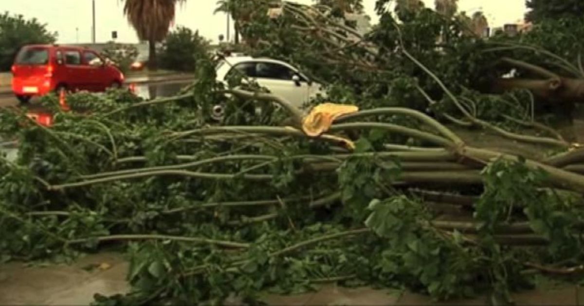 Video News 15/10/2015