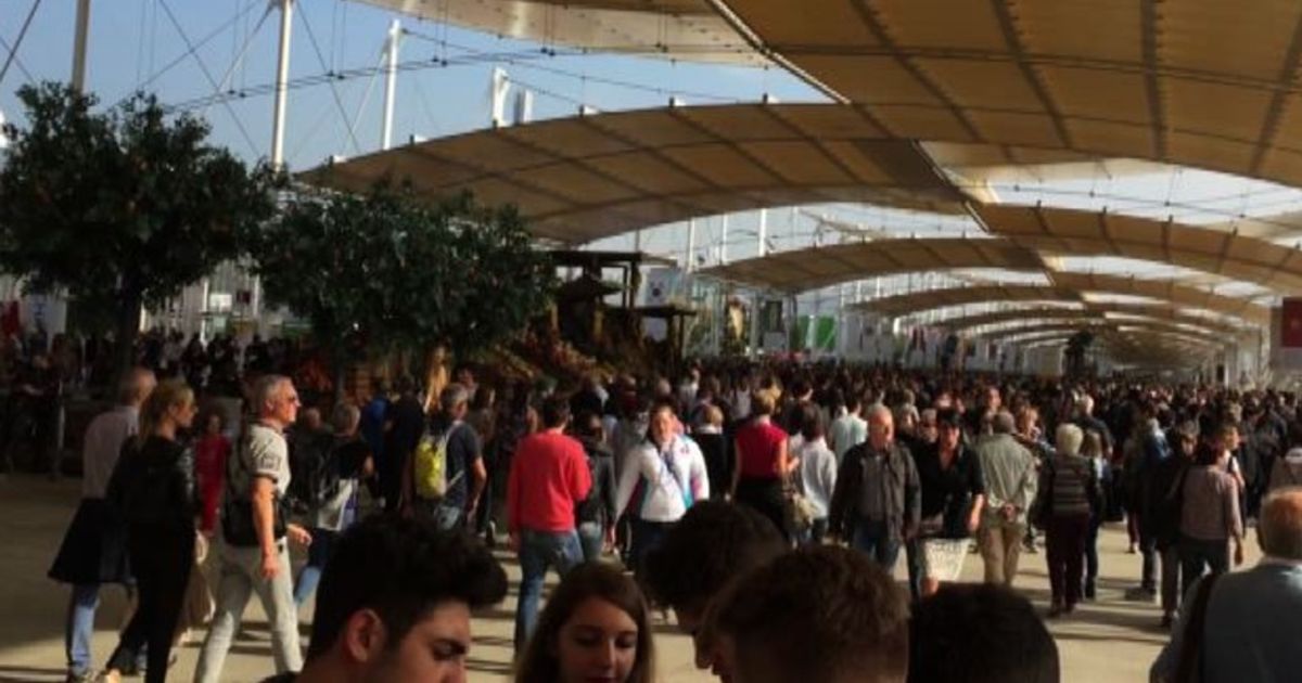 Video News 15/10/2015