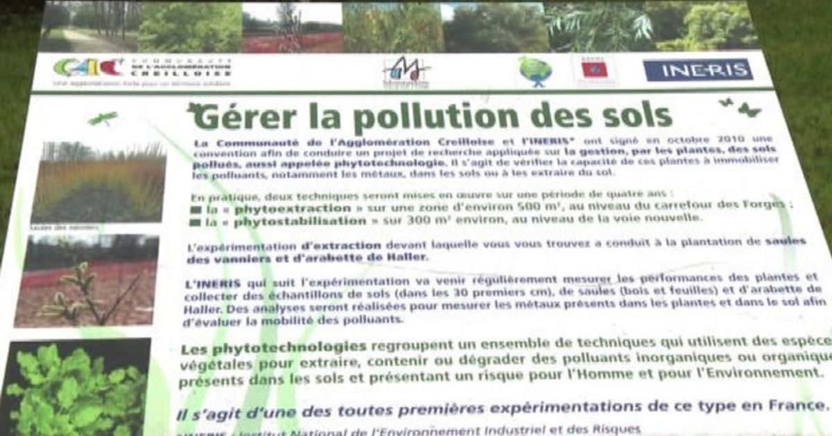 Video News 16/10/2015