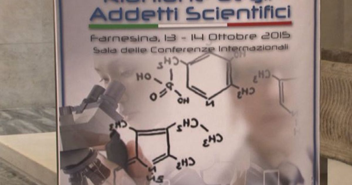 Video News 17/10/2015