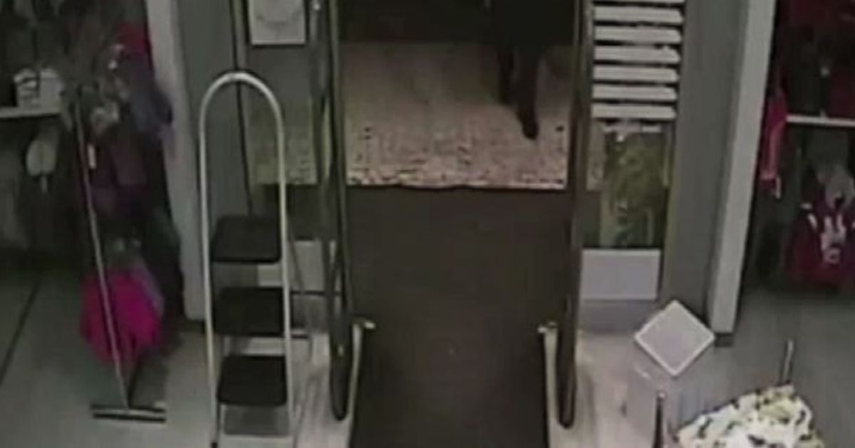 Video News 19/10/2015