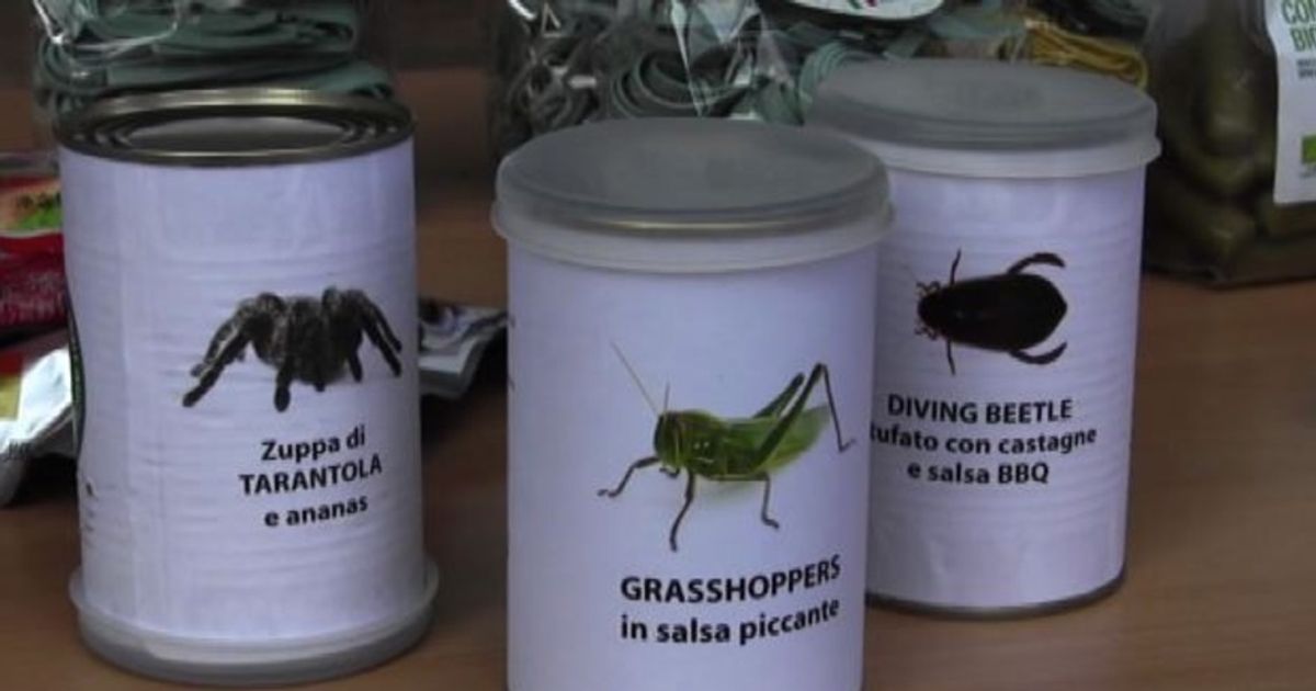 Video News 21/10/2015