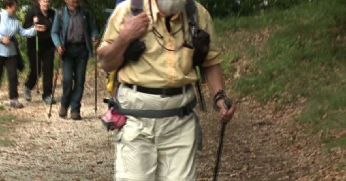 Video News 22/10/2015