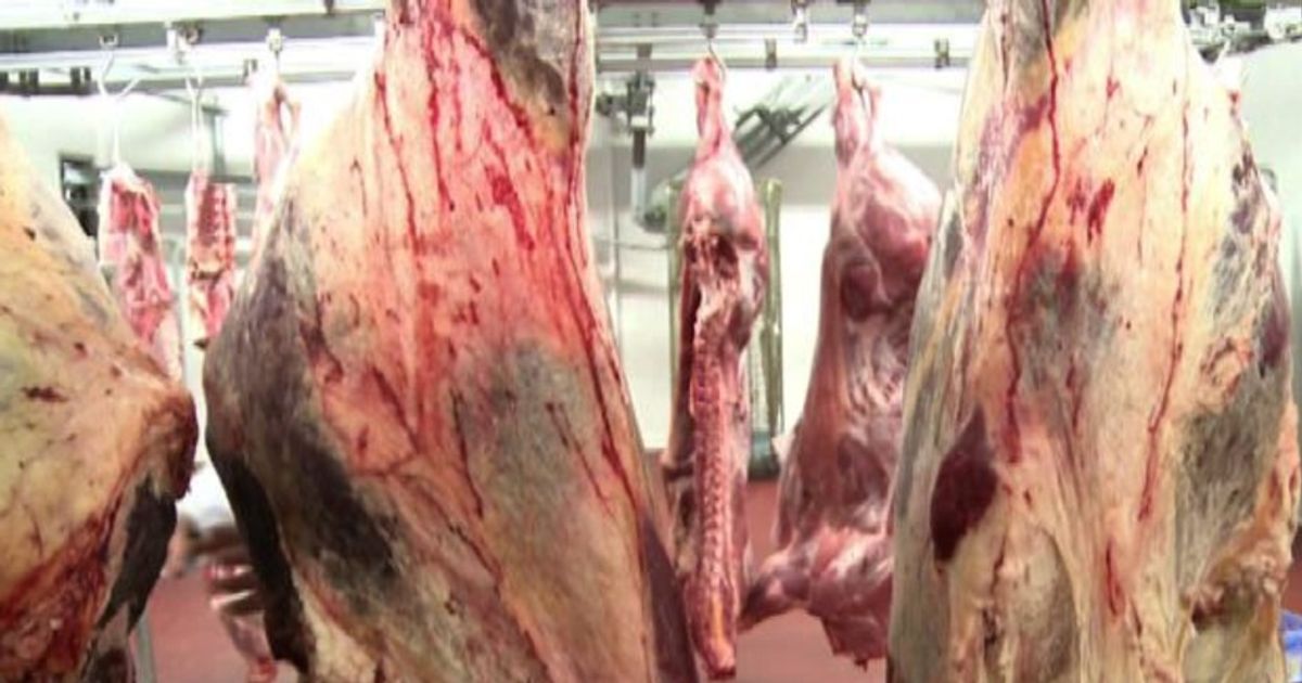 Video News 26/10/2015