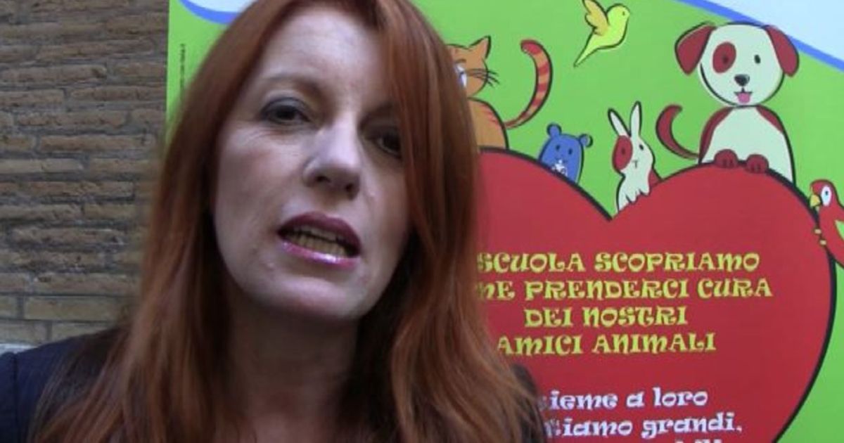 Video News 27/10/2015