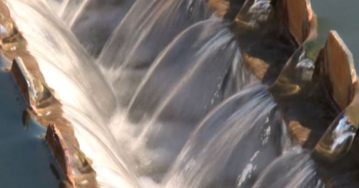 Video News 29/10/2015