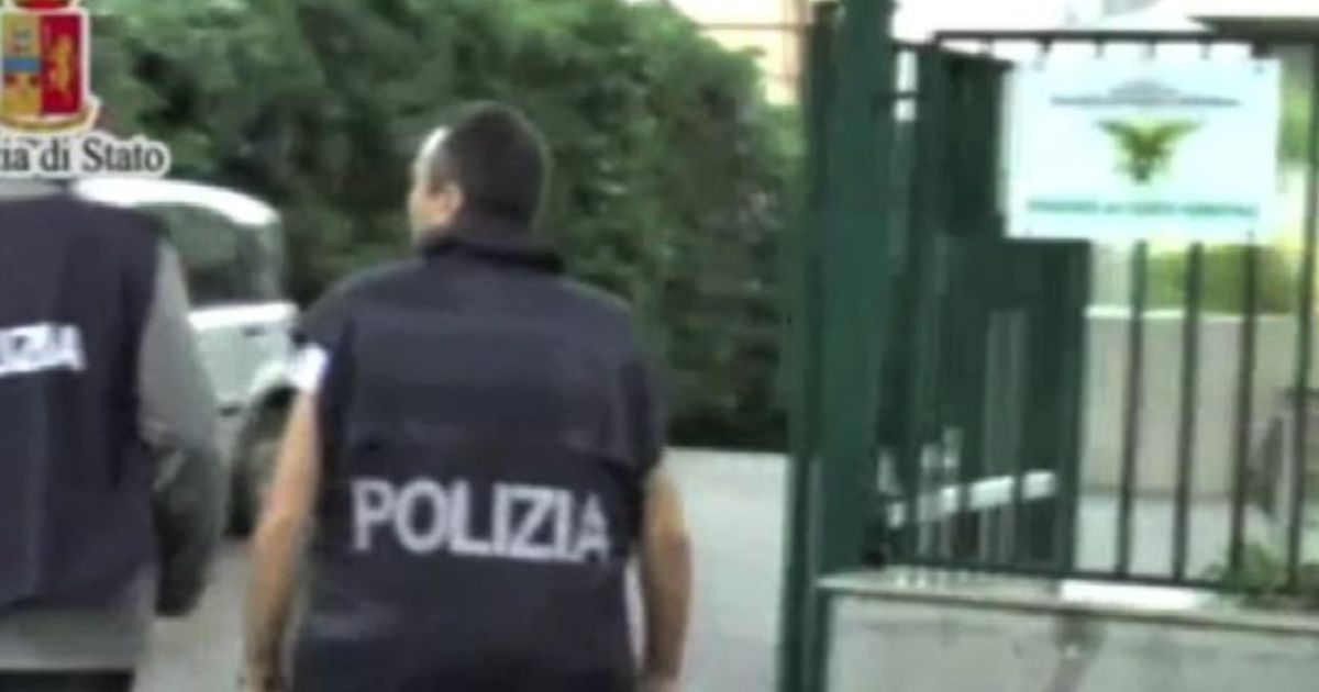 Video News 29/10/2015