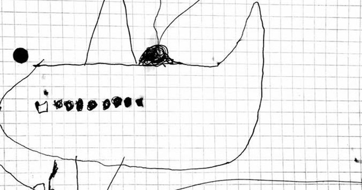 Bimbo di otto anni inventa un sistema di localizzazione per gli aerei