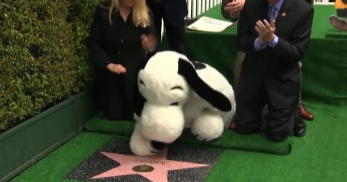 Video News 03/11/2015