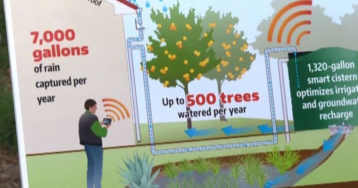 Video News 05/11/2015