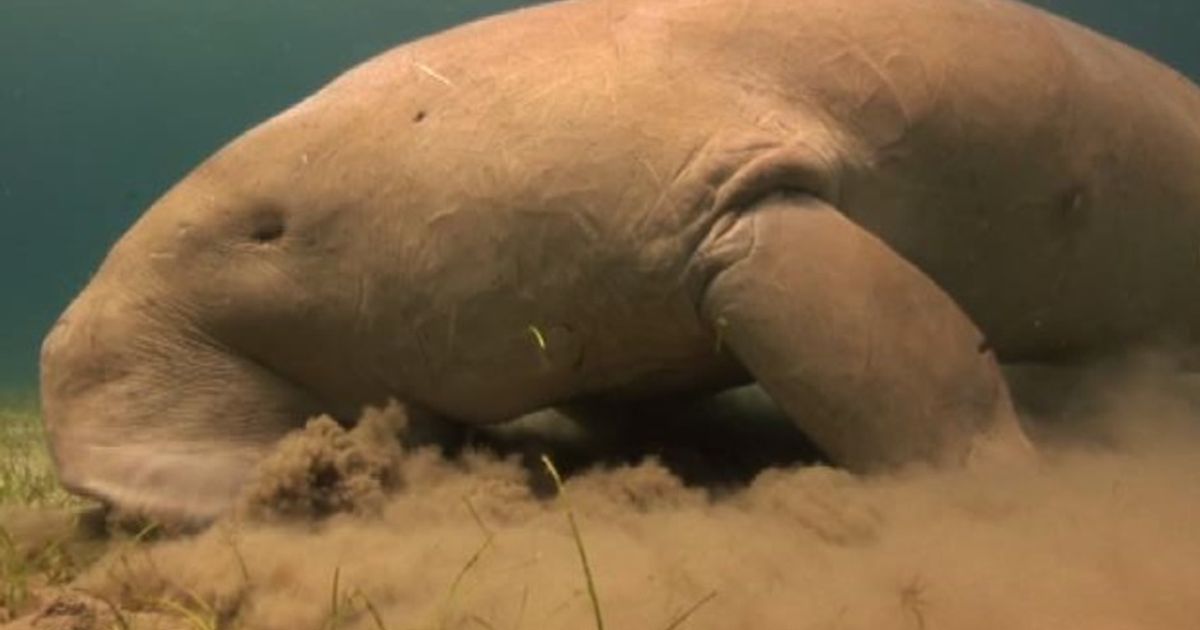 Video News 06/11/2015