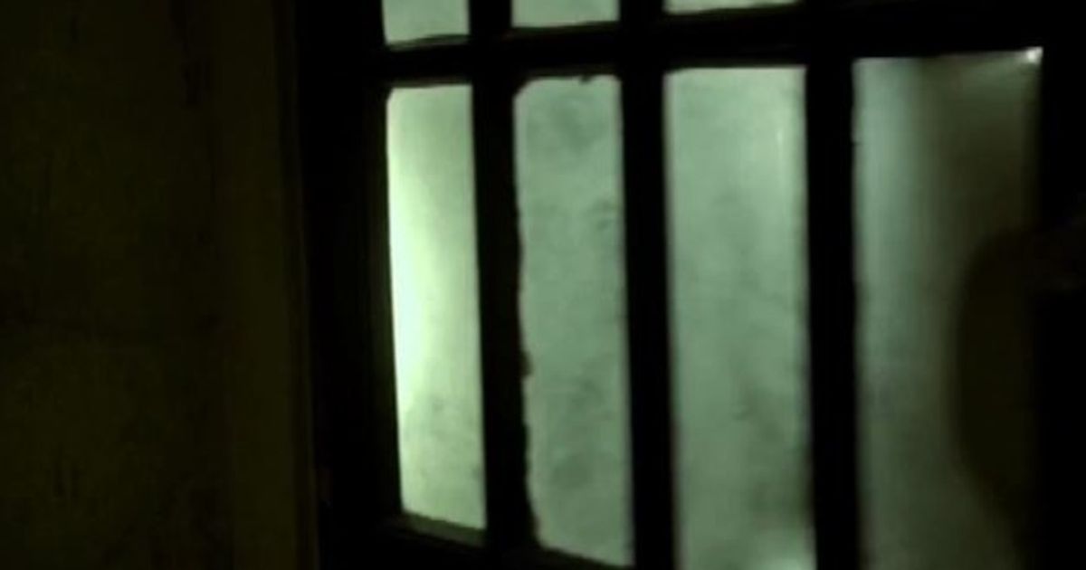 Video News 06/11/2015