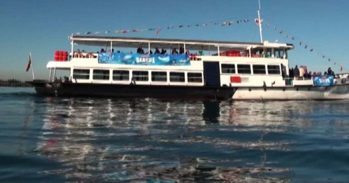 Video News 10/11/2015