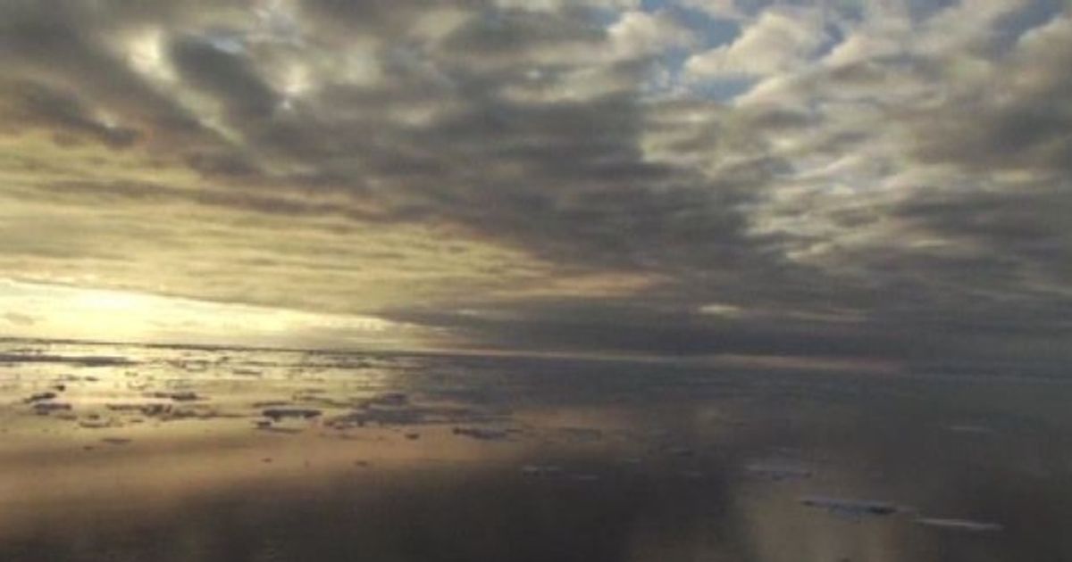 Video News 10/11/2015