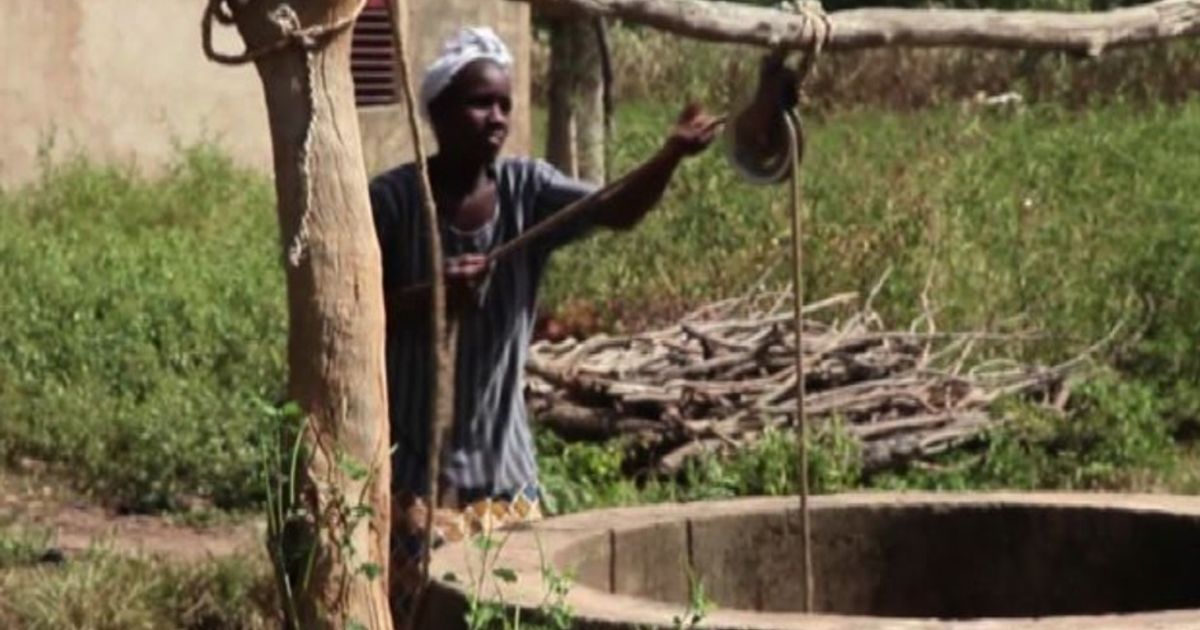 Video News 10/11/2015