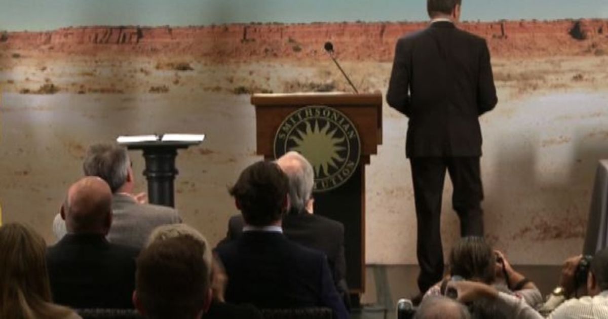 Video News 11/11/2015