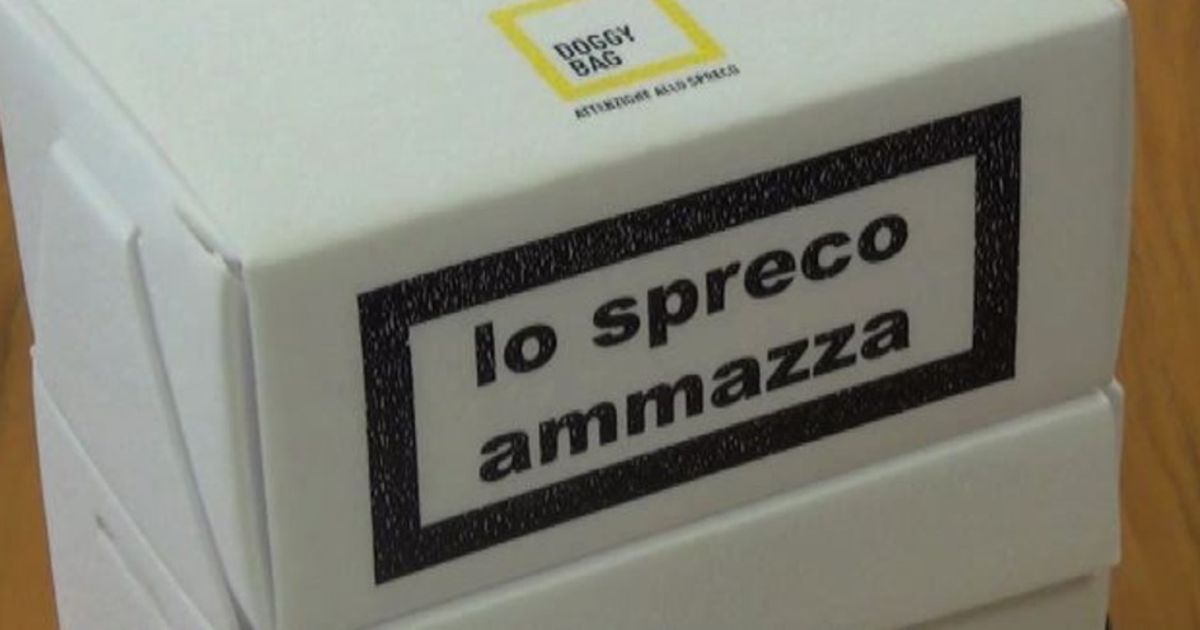 Video News 11/11/2015