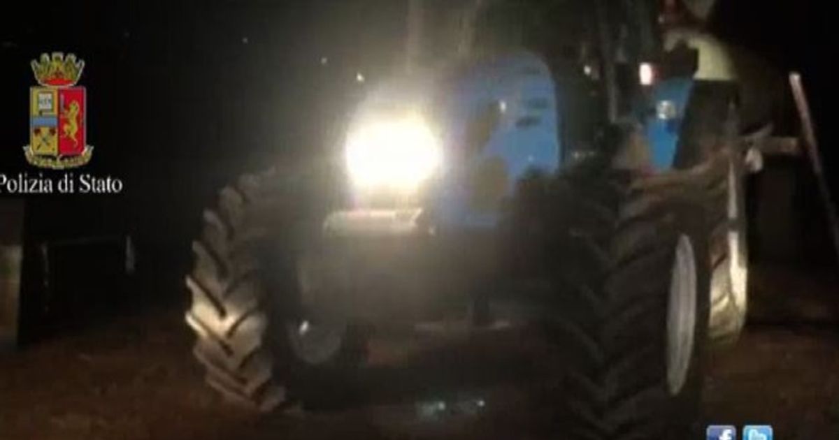 Video News 13/11/2015