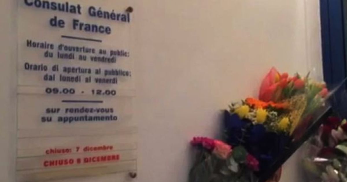 Video News 14/11/2015