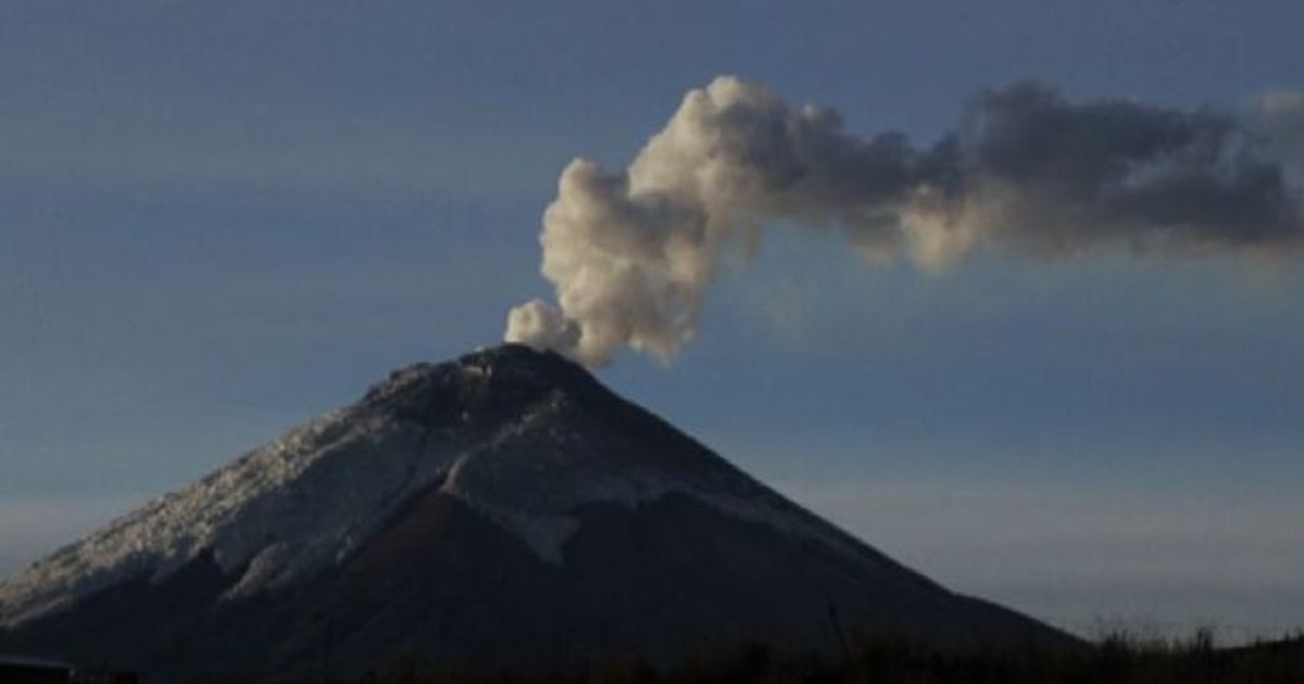 Video News 16/11/2015