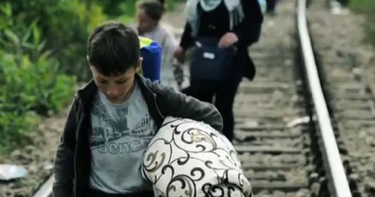 Video News 17/11/2015